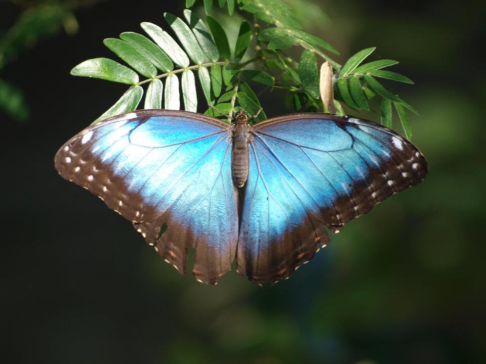 10891651_10205475697552792_164391835900023250_n