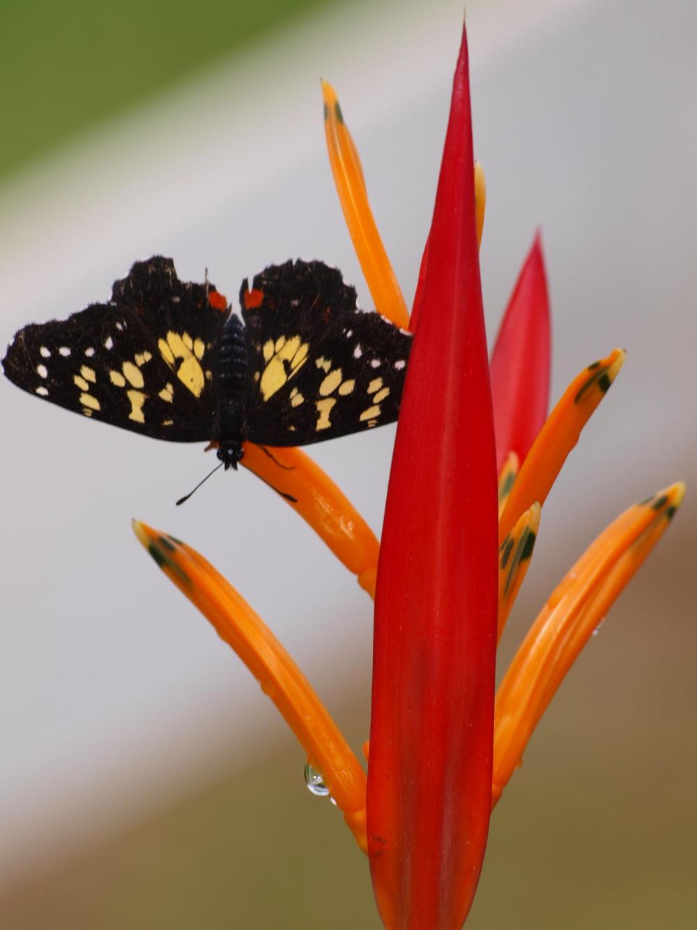 327079_4605667540658_918859617_o